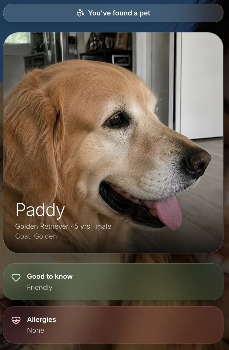 Your dog gets reported missing