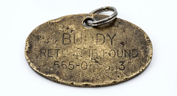 Engraved pet ID tag
